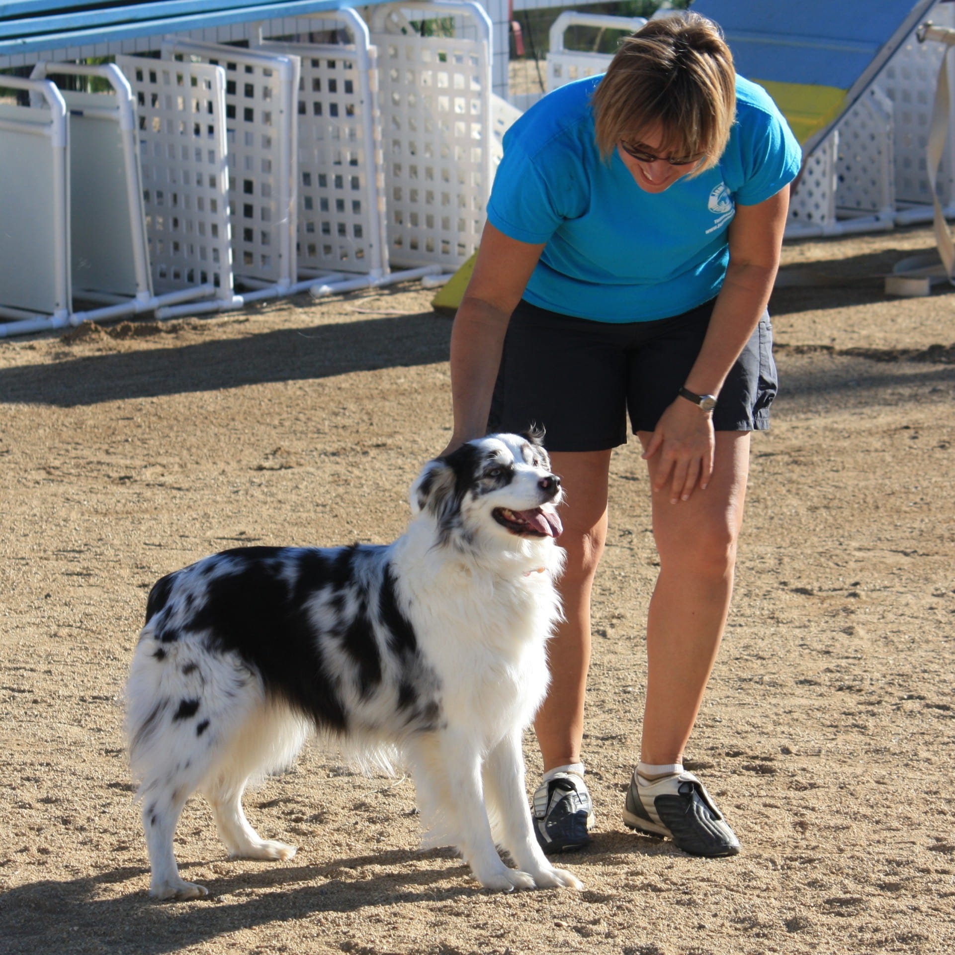 August 19, 1998 – January 21, 2014 - Lucy’s Rockin’ the Night Away (Lucy) 
Daddy’s girl – non-agility Aussie!